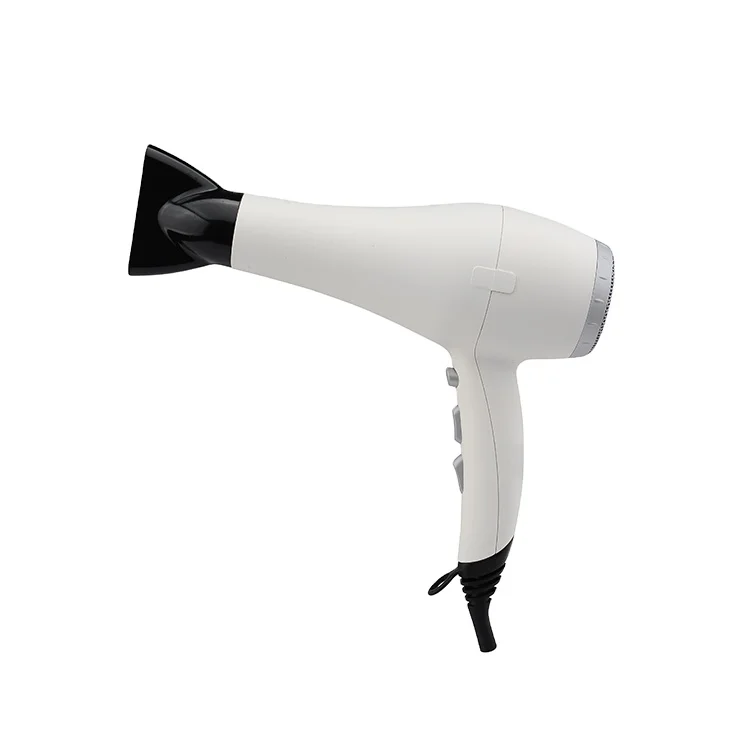Pritech-secador De Pelo Profesional,Función Iónica,Tapa De Extremo  Extraíble - Buy Secador De Pelo Profesional Secador De Pelo Product on  Alibaba.com