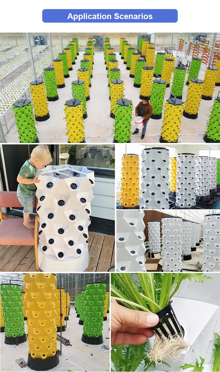 Greenhouse Pineapple Aeroponic Growing Towers Hydroponics Vertical