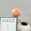 สีชมพูแชมเปญธิสเซิล