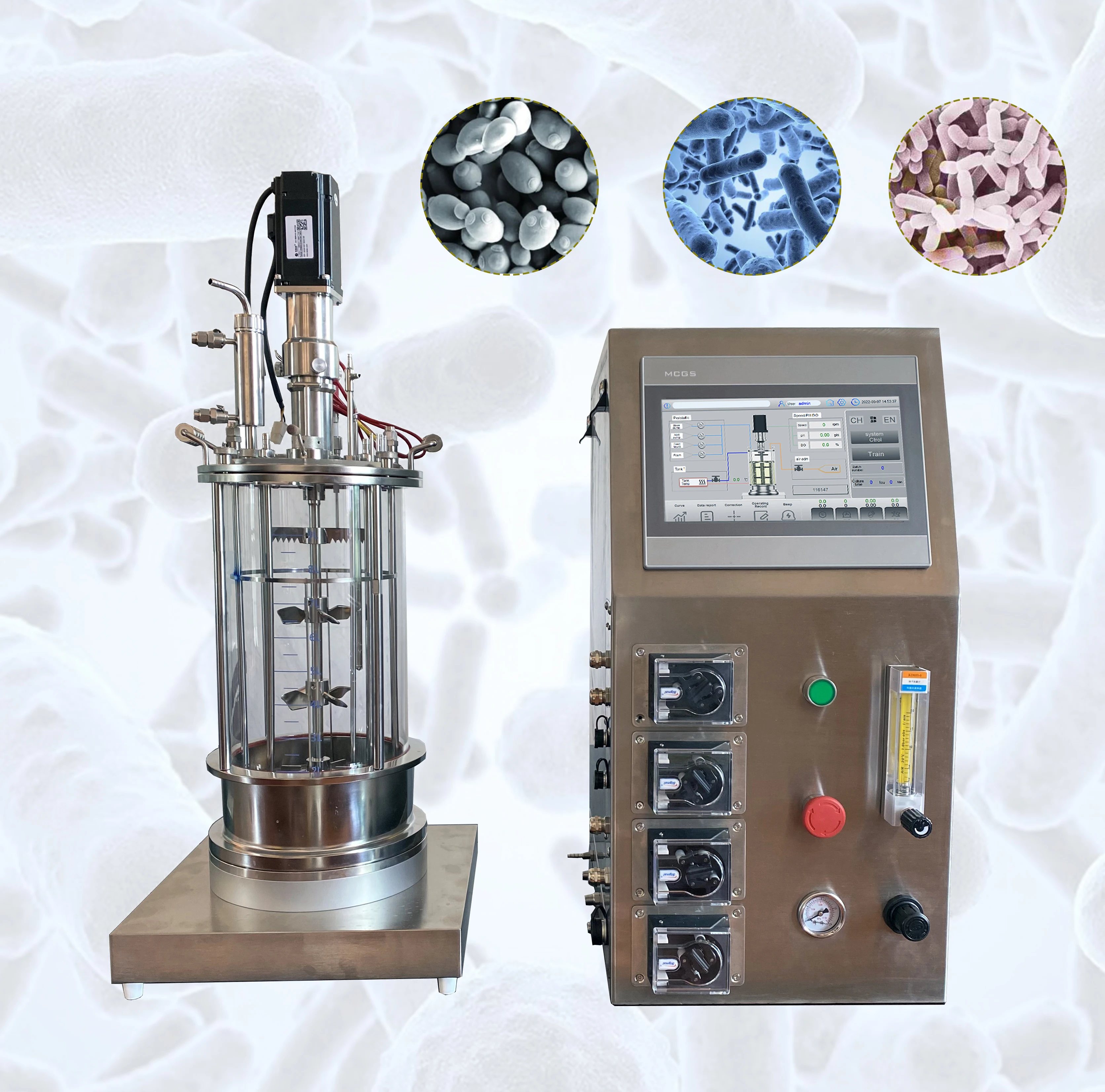 Small Laboratory Benchtop Bioreactor Fermenter 1l 2l 3l 5l 7l 10l 20l Anaerobic Glass Bioreactor Fermentor