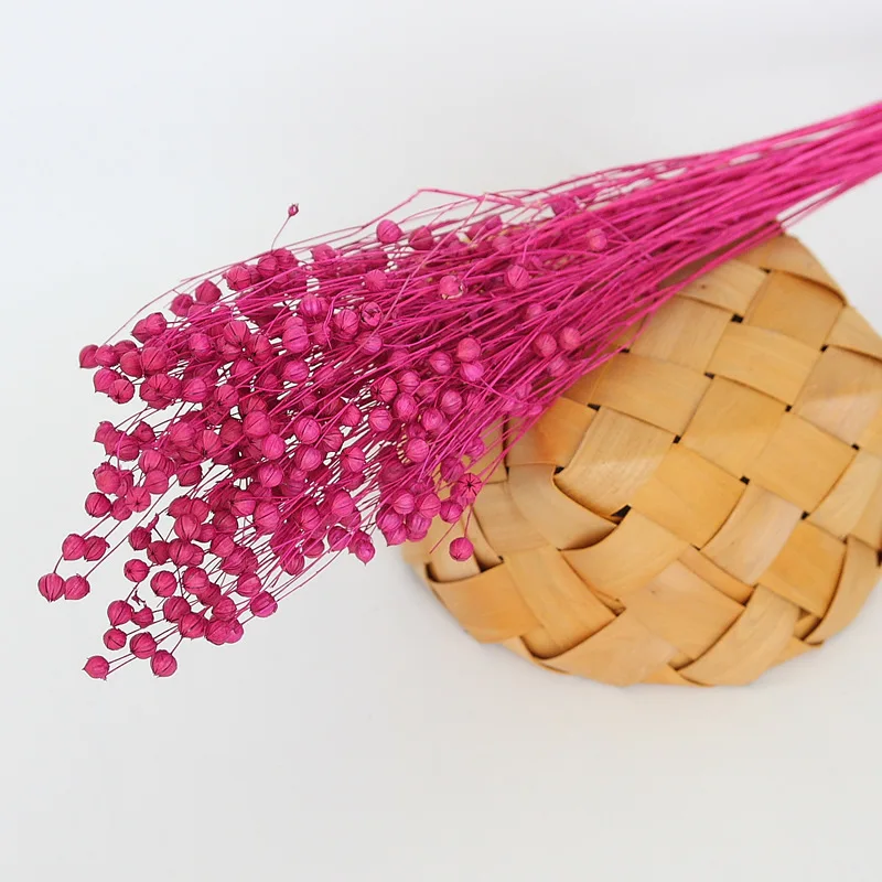 Wholesale Top Quality Jequirity Bean Dry Jumble Beads Bouquet Bulk Dried Flowers Decoration