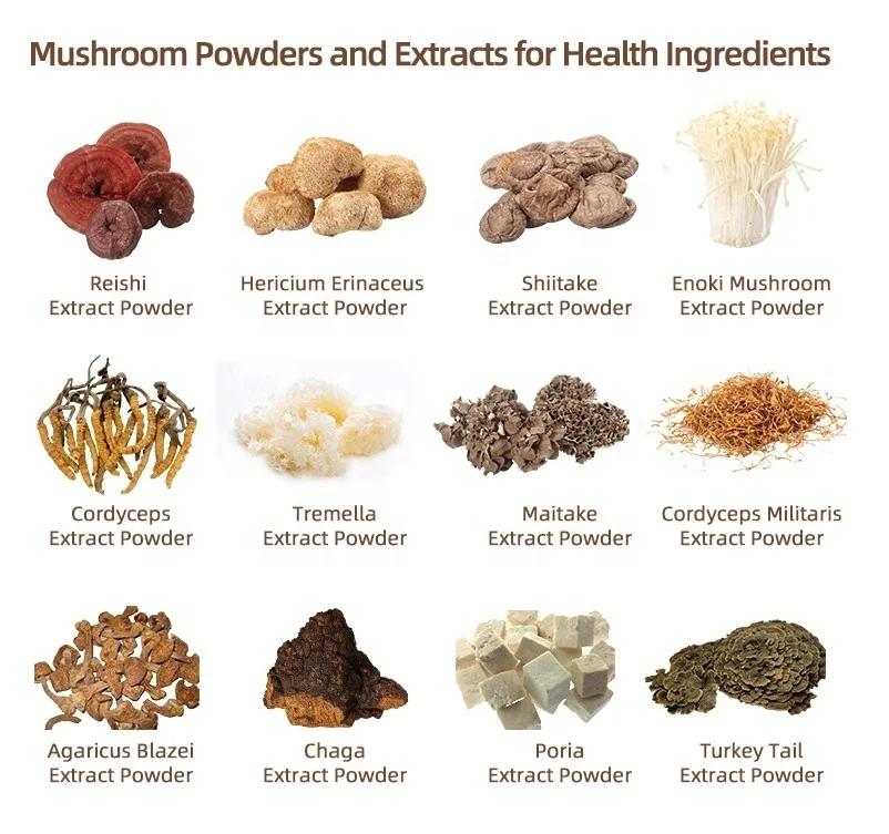 Wild Agaricus Blazei Mushroom Extract Powder/Agaricus Blazei powder  