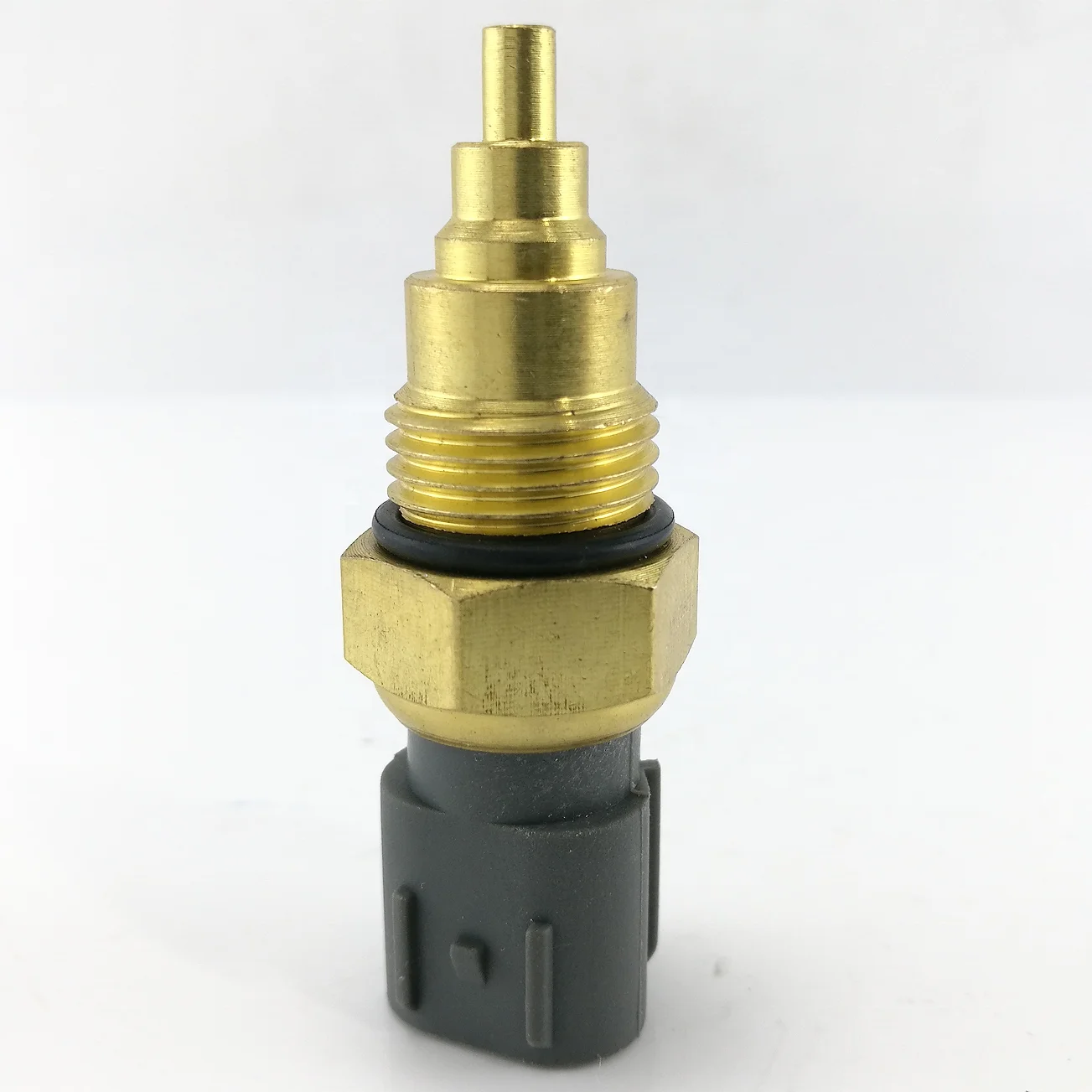 泡波10本、2015年、2016年 Amazon.co.jp: 泡波