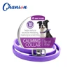 Purple Dog