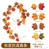 HY-F251-2