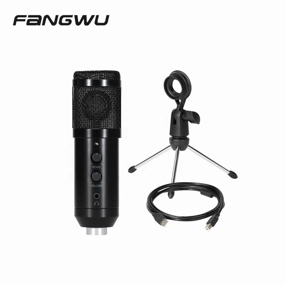 Fangwu China Mics of Studio Vocal Wired Mic