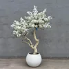 White1