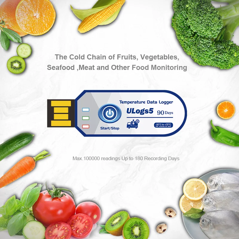 Quality Manufacturer Single Use Temperature Data Logger IP67 for Fruit and Vegetables Cold Chain