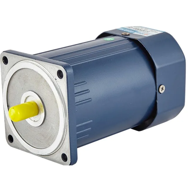 60W 110V Single Phase AC mini induction reversible gear motor