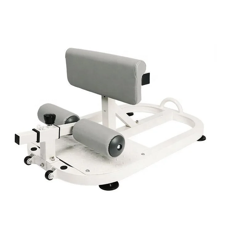 Wellshow Sport Home Gym Adjustable Deep Sissy Squat Machine Sit up Stand Bench for Squat Leg and Glutes Workout