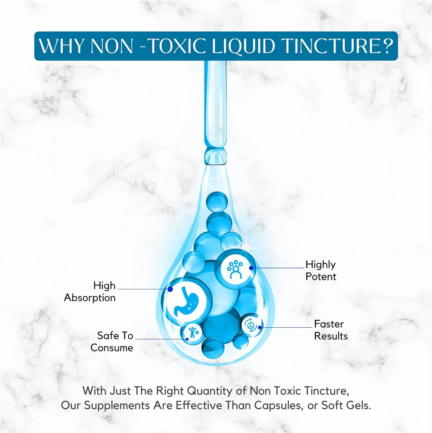 acetyl l carnitine absorption Liposomal Acetyl L-Carnitine+