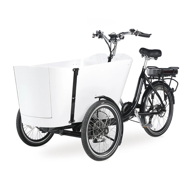 Factory Wholesale Price Durable Heavy Loading Cargo Electric Bike 3 Wheel Tricycle Bike Family Trike From China