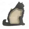 Chat noir