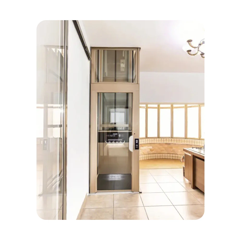 Stiltz Modern Hotel Small House PVC AC Passenger Elevator Stainless Steel Lightweight 320kg/400kg/450kg Capacity Cost-Effective
