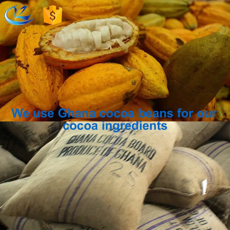 Premium Dutch Cocoa Powder for Baking | Low Fat & High Fat Options (5-24%) | Bulk Wholesale for Ice Cream, Cake, Chocolate