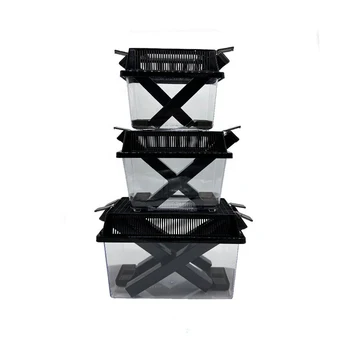 Wholesale plastic insect breeding cage small cricket carrier cage for reptile breeding