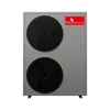 Negro