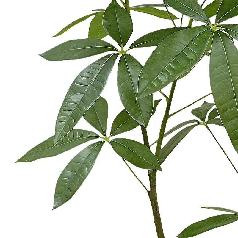 Factory Price Ocean Harvest High Simulation Artificial Money Plant Rich Tree Artifical Bonsai Tree