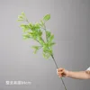 สีเขียว