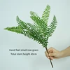 small row grass