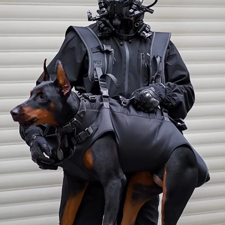 Pet Medium And Large Dog Backpack Multifunctional Backpack Outdoor Walking Stretcher Buy