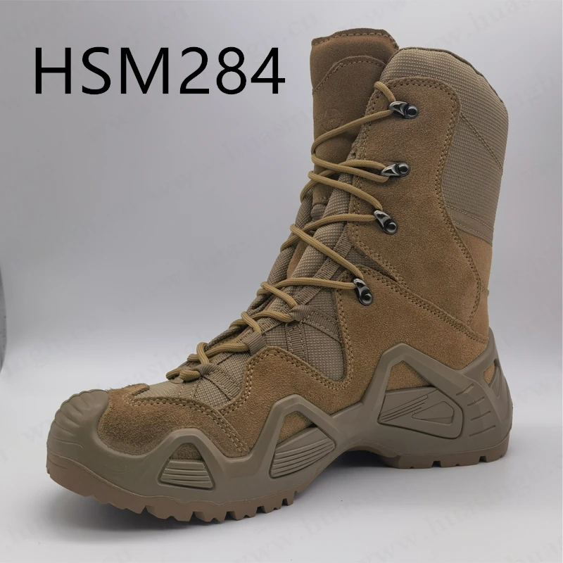 hsm284-1
