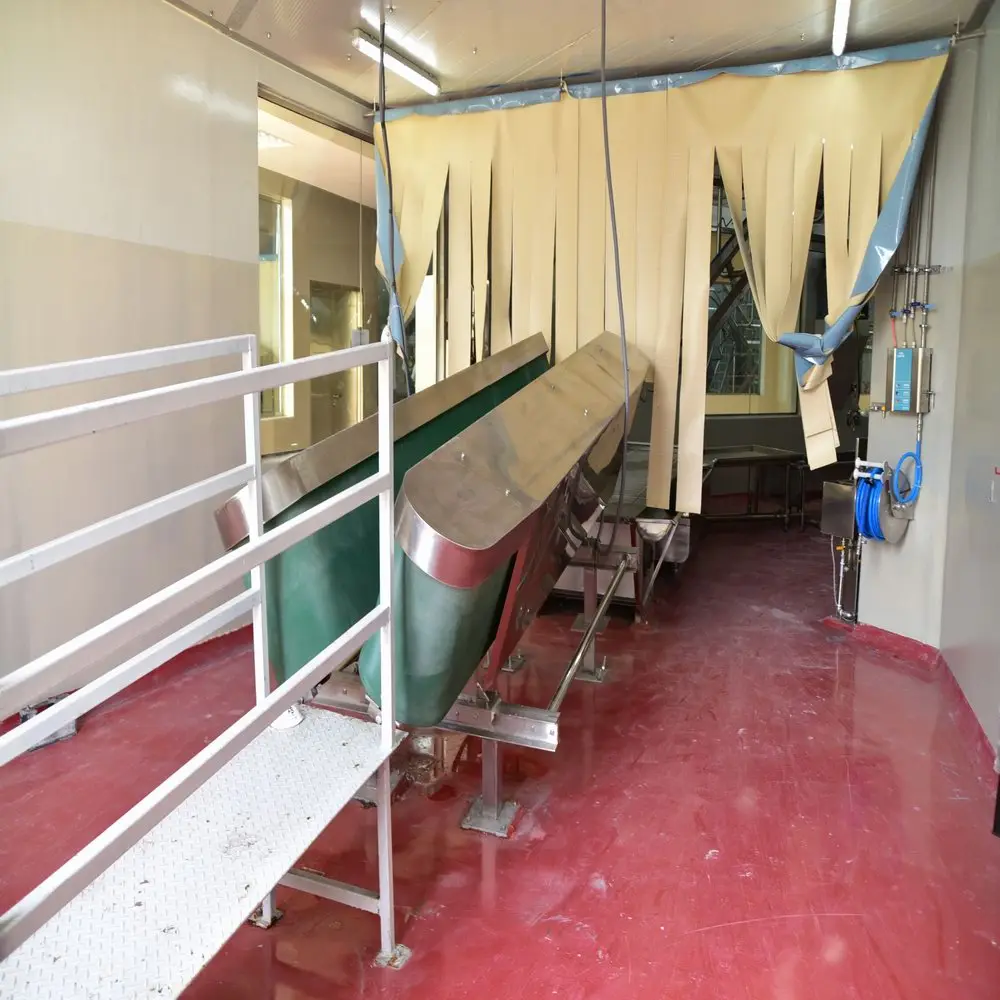 A-Z complete sheep slaughtering production line, slaughtering machine with split saw, suitable for sheep slaughterhouses
