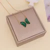 collar 5