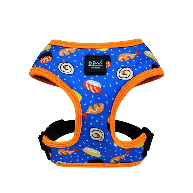 2024 Designer Nylon Pet Dogs Bravecto Supplies Luxury Eco Friendly Cat Dog Harness Set