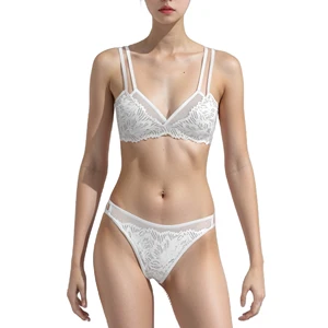 Lace Bralette Brief Set Intimate Design Mesh Underwire Sexy Girls Lingerie Bra and Panty Underwear Set