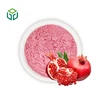 Polvere Fine Rosa Chiaro