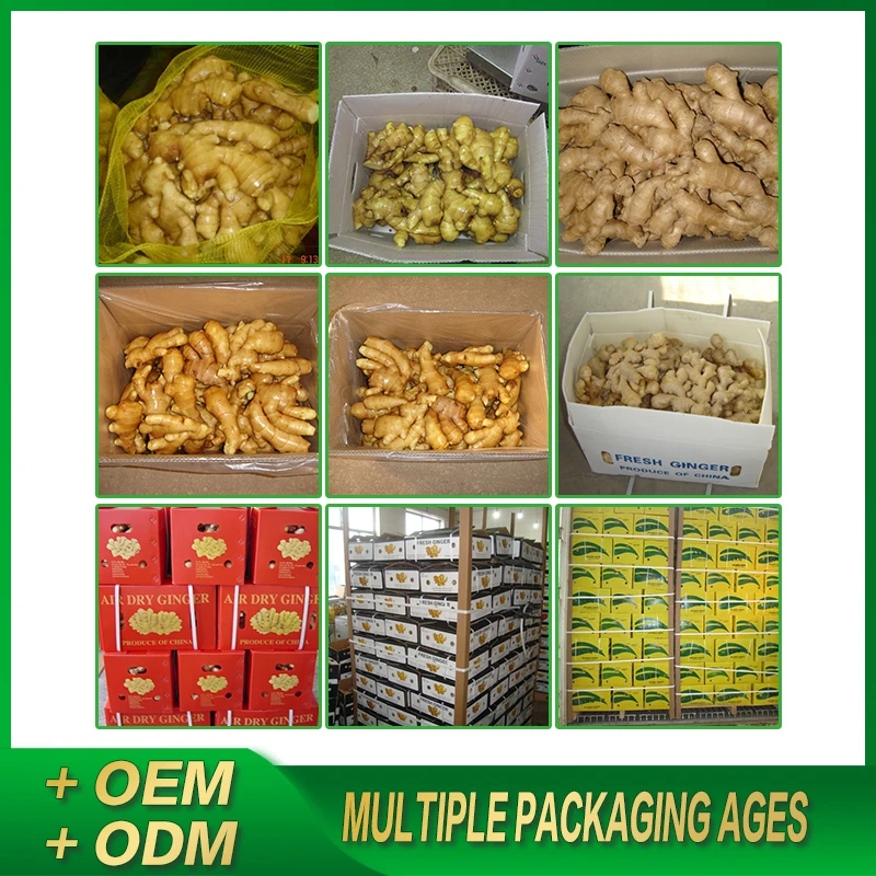 High Quality Dried Fresh Ginger Market Price Per Ton Wholesale Ginger Buyers For Export In China