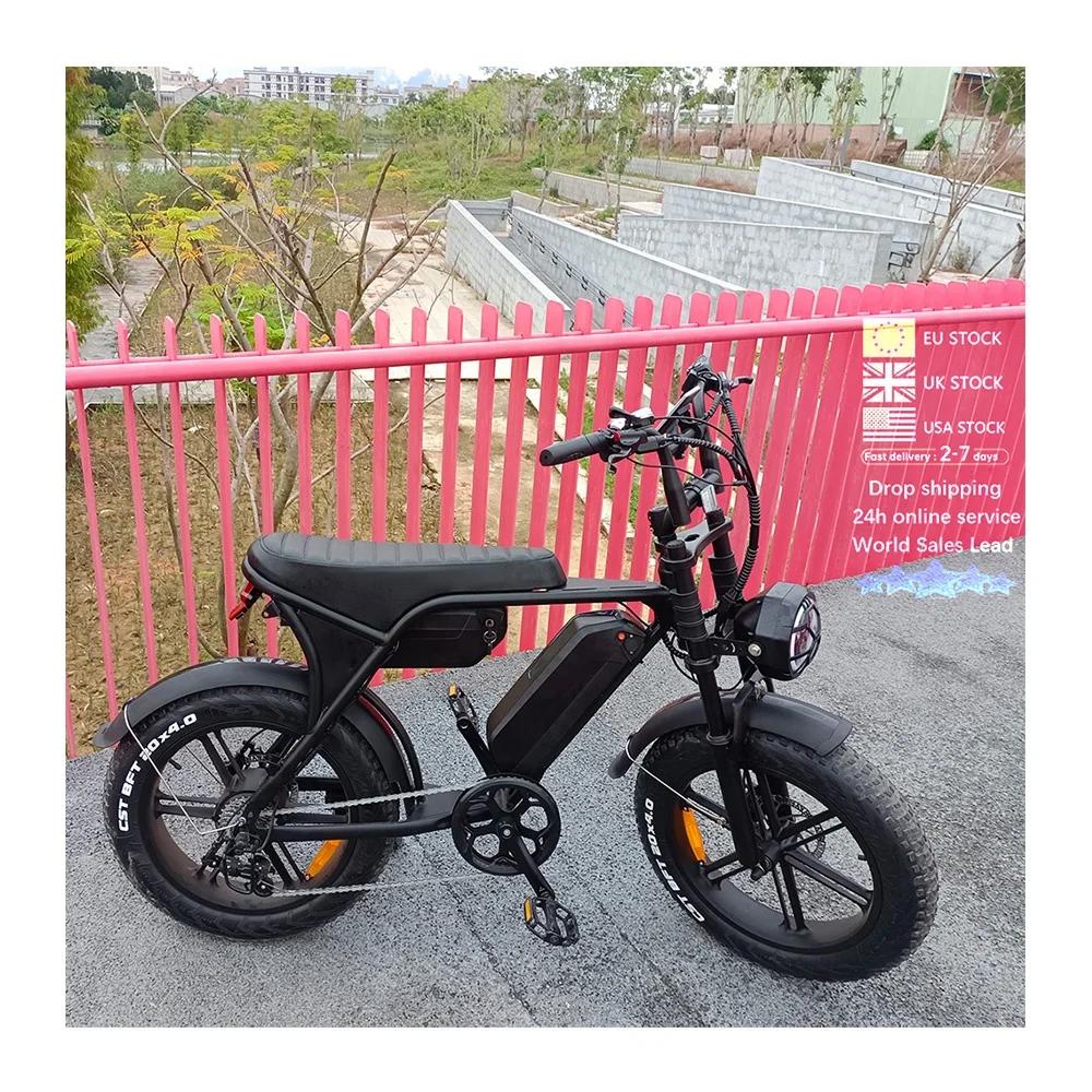 Electric Bike Velo Electrique Batteries Ridstar® FM001 2-Seater