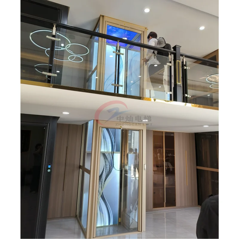 Auto-door Star Ceiling Home Elevator Hydraulic Passenger Lift for Villa Apartment Hotel Outdoor Use 2-4 People Modern Design