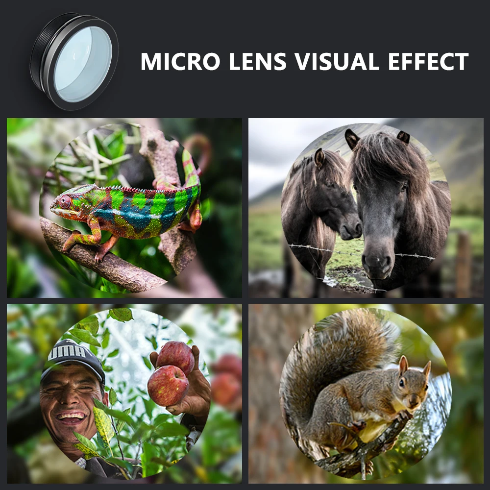 Keepguard Garden Wildlife Camera Detailed Bird Photos