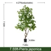 230cm