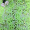 สีเขียวอ่อน