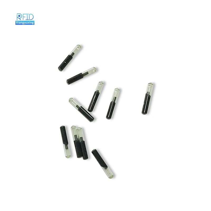 Programmable RFID Nfc Transponder Pet Rfid Animal Microchip Glass Tube 125Khz RFID Glass Tag