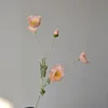 Champagne profondo