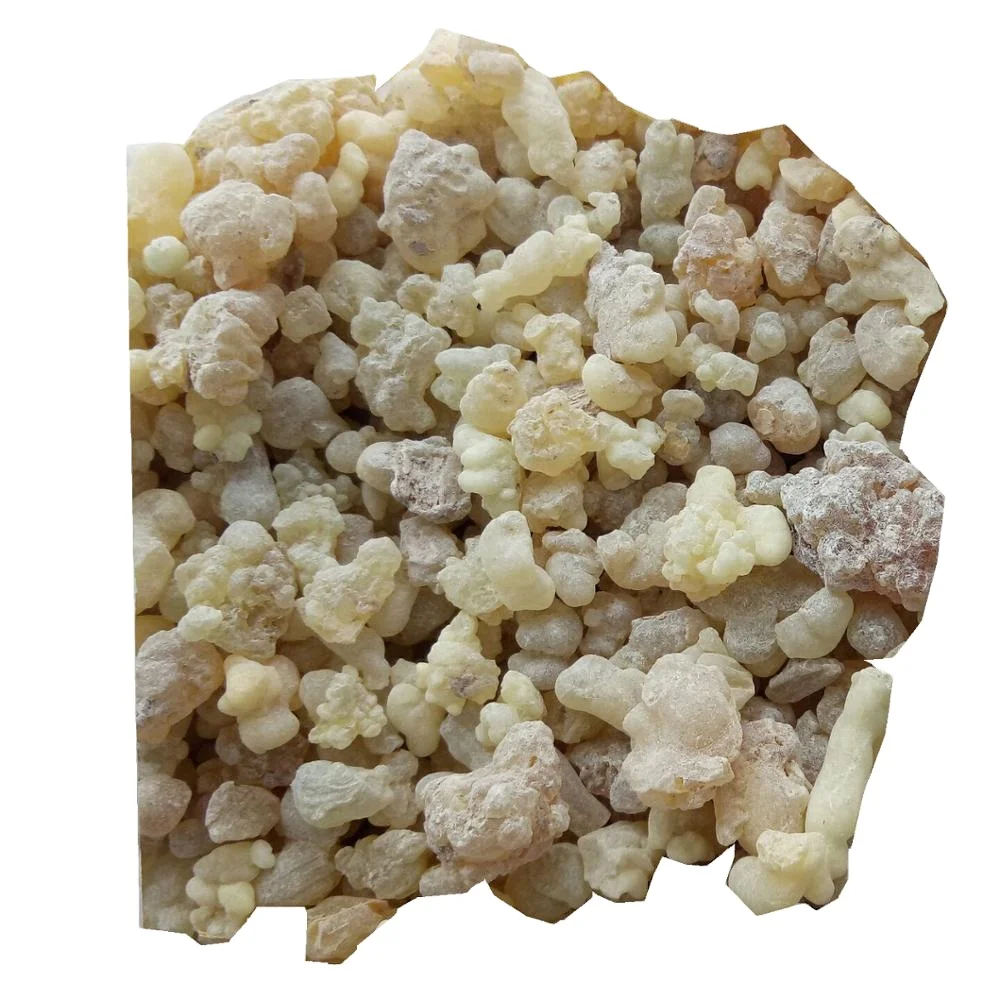 Natural aromatic Oman Frankincense resin for incense and perfumes