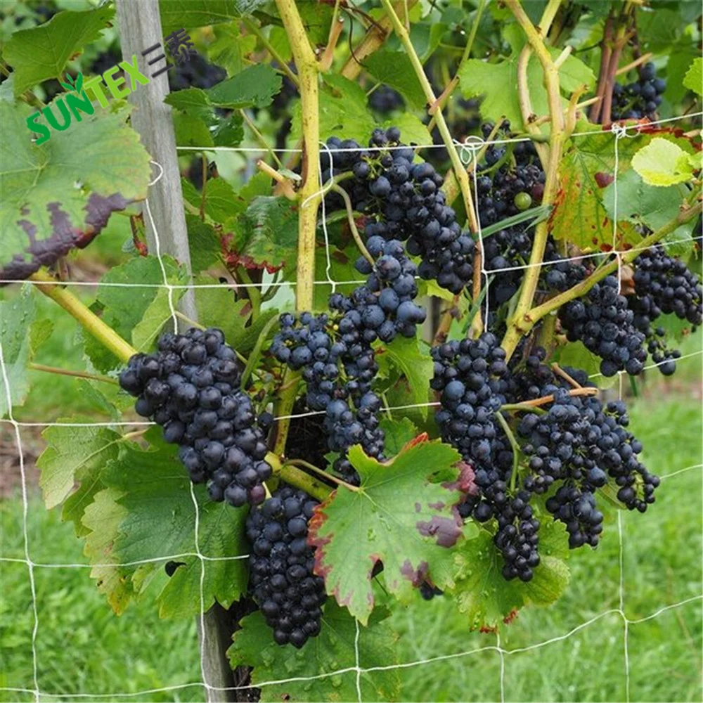 Rete rampicante per piante da giardino, rete di supporto per piante in iuta per piante da giardino naturale traliccio spago rete per piselli fagioli