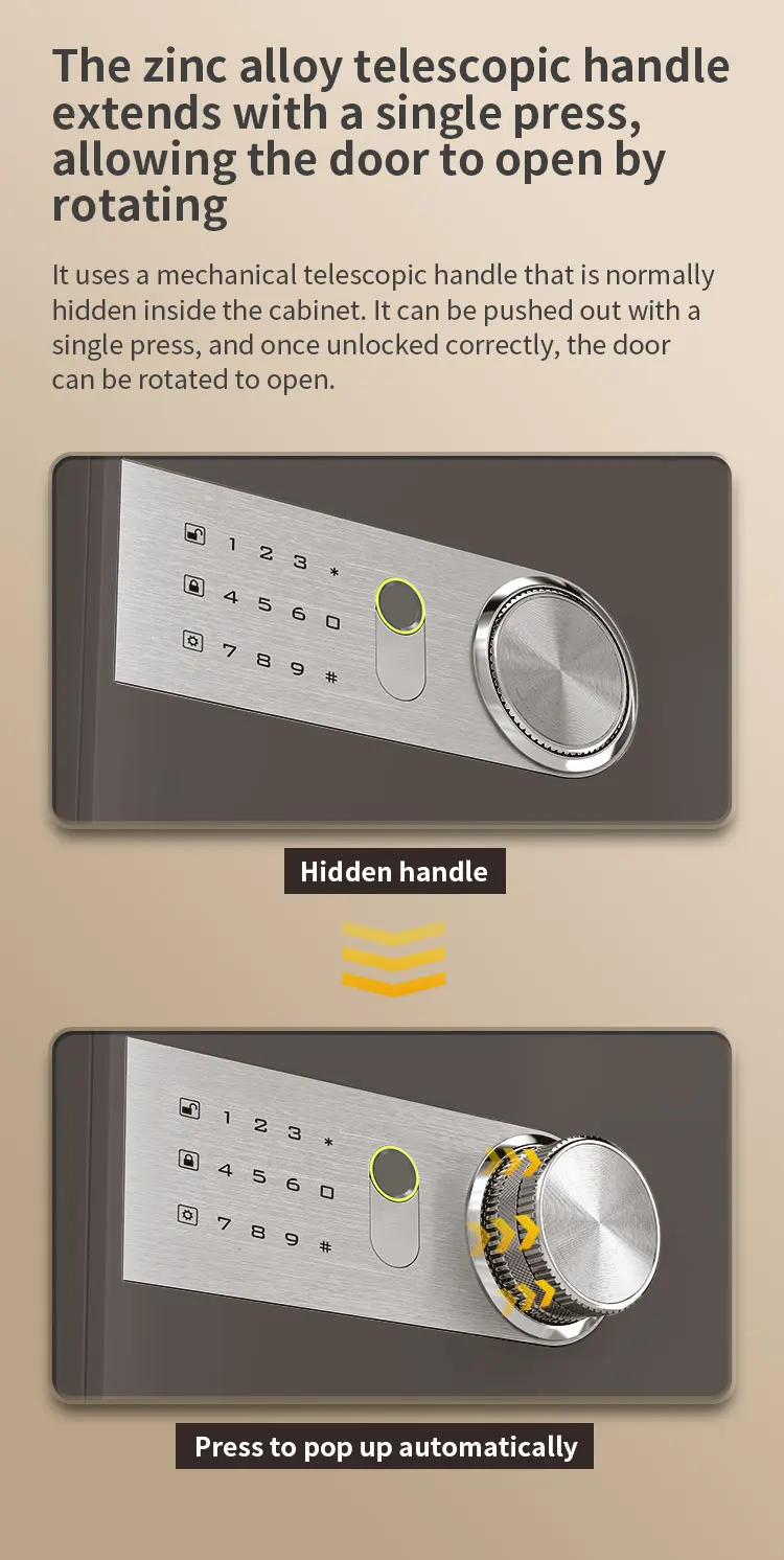 CEQSAFE Hot Sale Safe Metal Security Safe Box Fingerprint Key Safe Luxury Smart TUYA APP WIFI Safe Box details