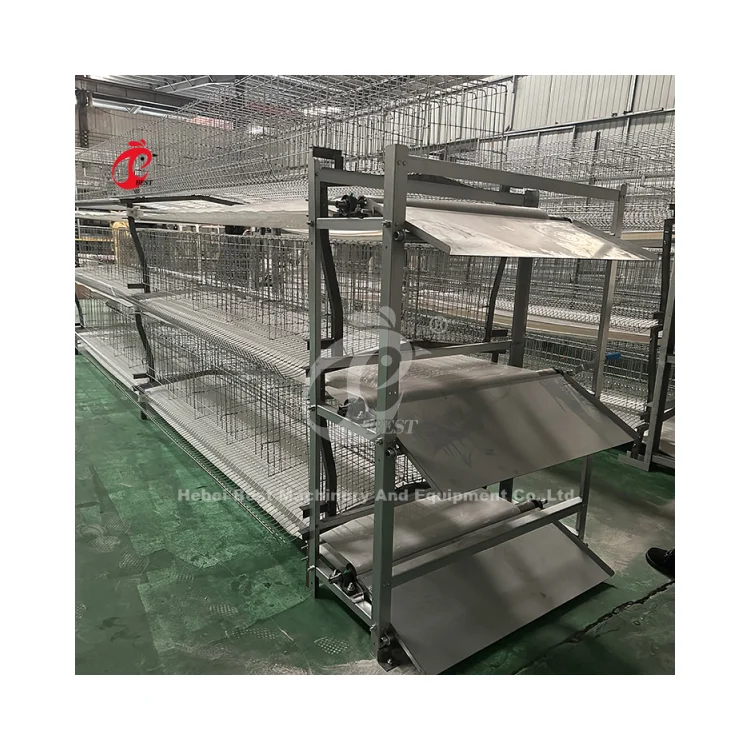 Battery Layer Brooder Cages of Poultry Chicks for 5000 Birds