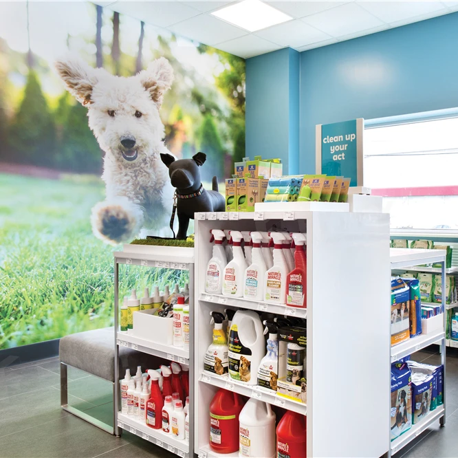 Modern Pets Shop Interior Layout Design Customized Retail Pet Dog