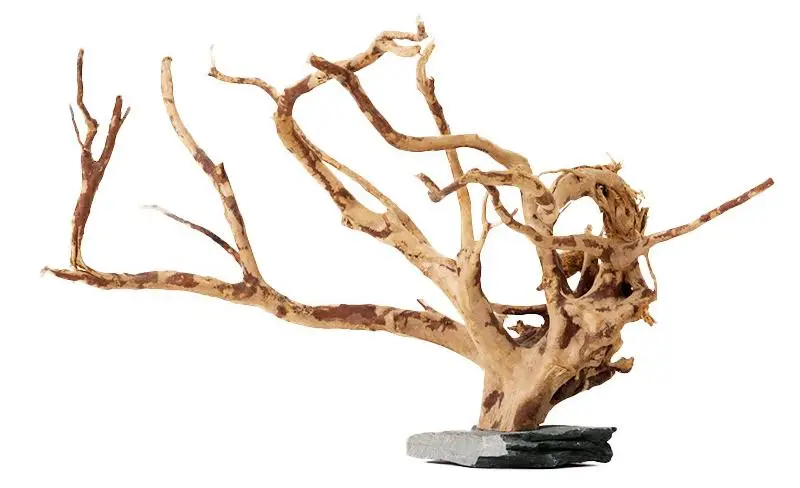 Just Fish Banglore - Genuine spiderwood (Driftwood) Available