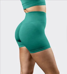 Manufacturer Custom 75% Polyamide 25%spandex High-waist Seamless Training Gym Shorts for Women