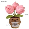 rosa2