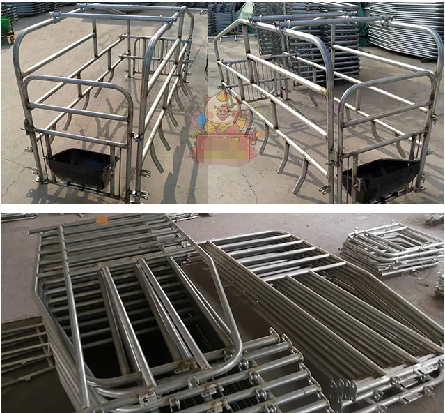 Animal Cages (1).png