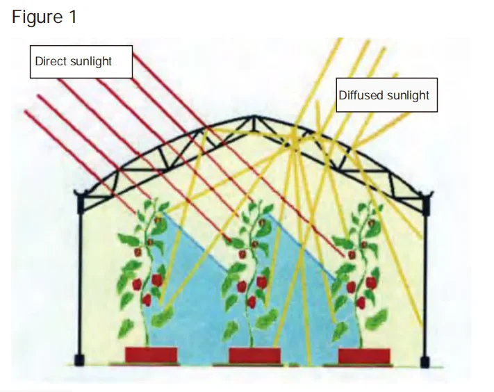 UV Resistant Greenhouse Accessories Greenhouse Film Plastic Sheeting
