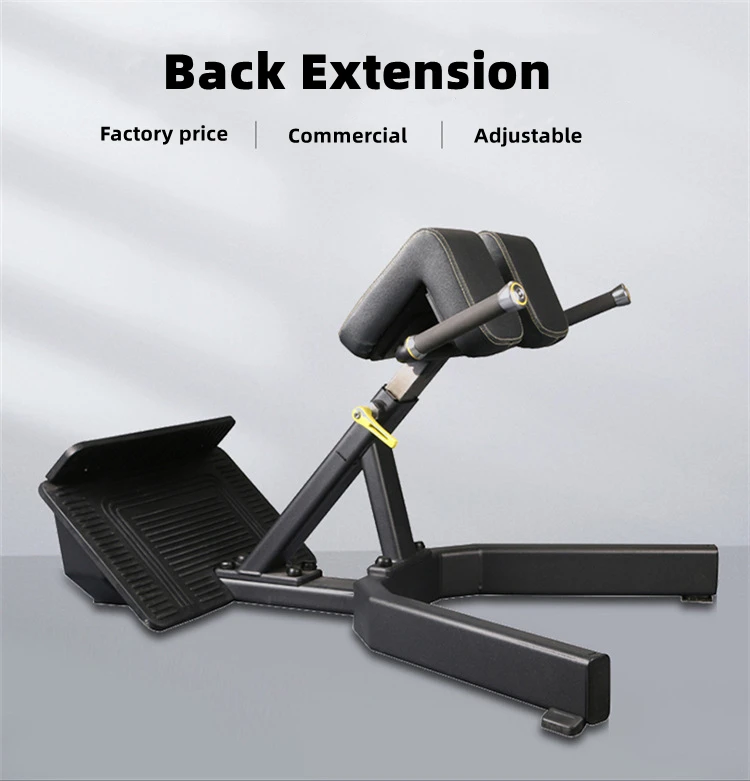 Adjustable Back Extension Machine